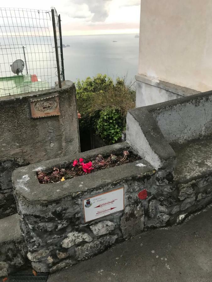 Maison Rosa Ποζιτάνο Εξωτερικό φωτογραφία